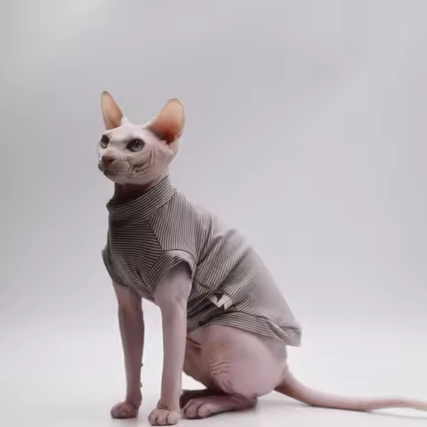 DUOMASUMI Summer Cat Vest for Hairless Breeds - Stretch Cotton & Ultra-Soft Cooling Top for Sphynx, 