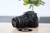 Nikon d3300 murah banget