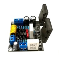 Seas 2SC5200 2SA1943 20-50V Power Amplifier Board For Home Entertainment Accessories
