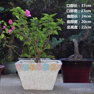 Tea Room Direct Sales Balcony Garden Decoration Landscaping Decoration Outdoor Succulent Flower Pot 