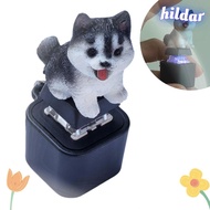 HILDAR Dog Cat Fidget Toy, Rechargeable with Colorful Lights Barking and Meowing Keychain, Key Butto