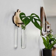 Simple Wooden Hydroponic Plant Breeding Station Home Bedroom Wall Plant Hanger Courtyard Display Sta