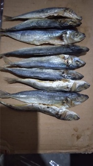 IKAN ASIN LAYANG 1Kg ikan asin peda merah ikan asin murah grosir ikan asin jambal roti ikan asin jap