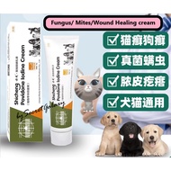 Skin fungus  Kurap Kucing Paling Mujarab  Fungus Kucing Kulit Kucing Luka Kucing Pet Fungus  猫藓药膏 20