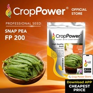 (500 GRAM) Biji Benih Kacang Pis Leper Belanda Doremi 豆来米 FP200 CROP POWER Flat Pea Seed 荷兰扁豆种子 FP 2