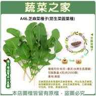 【Vegetable Home】A46.Arugula Seeds4Gram(About2000Piece)(Tender Leaf Parts For Food.With Arugula Fragr
