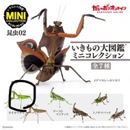 生物大圖鑑 mini 螳螂  彩虹鍬形蟲