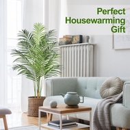 「Fast delivery」5FT Artificial Palm Tree Indoor Plant Tall Fake Tropical Paradise Palm Tree in Pot wi