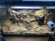 水族箱造景石連小米一代魚缸
