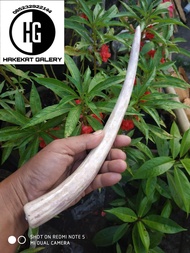 pipa rokok once tanduk rusa RG 139