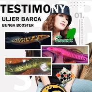 pelet bunga shrimpelet barca pemecah cabung & bunga solid channa maru ys red 30gr pakan ikan doping