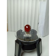 RED RAFLESIA BENGKULU AGATE STONE RING