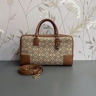 Loewe Amazona 28 Bag