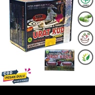 urat kuda formula plus ori