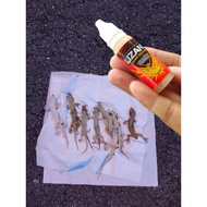 Lizant (Ubat cicak) ready stock ORIGINAL