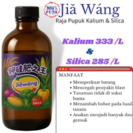 Jiawang Jia wang Pupuk Kalium Silika Silica Cair Murni Batang Bunga Padi Anti Roboh Rebah Rontok