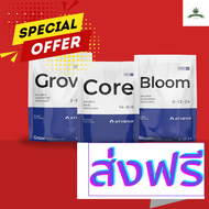 [สินค้าพร้อมจัดส่ง]⭐⭐Set Athena ProLine Core+Grow+bloom ปุ๋ย สารอาหารพื้นฐานสำคัญ ทุกช่วงทำใบและดอก 
