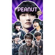 HLE - Set of 135 PEANUT Stickers | Waterproof | Super cool For Esports Fans