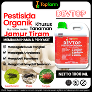 Obat Pembasmi Hama Jamur Tiram / Obat Jamur Dan Hama Tanaman Jagung / Obat Hama Jamur Tiram / Obat H
