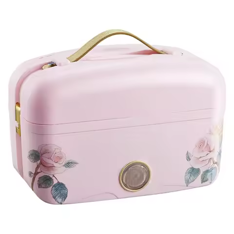 220V electric lunch heating box mini rice cooker 2 layers multi cooker
