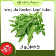 Arugula Salad 100 Seeds Garden Rocket Leaf Easy to grow