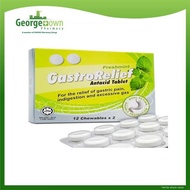 GASTRORELIEF ANTACID TABLET FRESHMINT 12S X 2