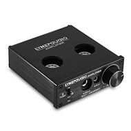 LINEPaudio A962 6J9 Mini Vacuum Tube Amplifier