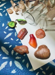 紅色海底輪原石 / 單顆