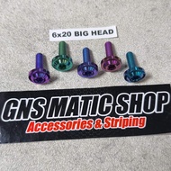 Titanium Probolt Bolt M6X20 Bighead Thread 10 Length 2cm Titanium bolt/ m6X10 bighead titanium M6 Ti