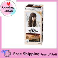 Liese Hair Coloring Foam Color Cocoa Brown 108ml Directly from Japan