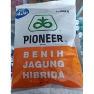 BENIH JAGUNG PIONEER P27 LUMIGEN / BENIH JAGUNG HIBRIDA P27 PIONEER