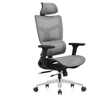 GASMBUY Upgrade Ergonomic Chair 【READY STOCK】 3D Handrail and 4D Headrest Computer Gaming Chair with