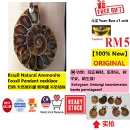 巴西 天然水晶 斑彩螺 顺风螺 吊坠项链 Natural Crystal Ammonite Fossil Pendant necklace 辟邪挡煞保平安 风水招财偏财贵人 事业生意缘 健康挡小人 桃