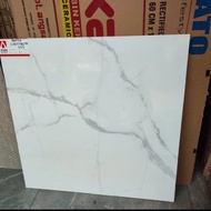 GRANIT MOTIF MARMER CARTAGENA 60X60 ATENA TE