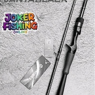 BC IROLY VANTABLACK ROD (632/198CM) - BLANK TOROYCA HOLLOW Original FUJIRing