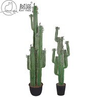 Simulation Cactus Potted Plant Large Cactus Plant Bonsai Office Decoration Fake Green Plant Pentagon