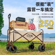 T Trolley Foldable Outdoor Trolley Picnic Trolley Camp Trailer Trolley Rear Drive Trolley Stall Cart
