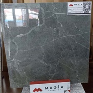 granit lantai 60x60 gionotti grey glossy
