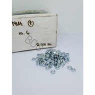 M 6 White Iron Nuts - 4.6 White Iron Nuts, 10 pcs