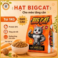 BIGCAT cat seeds 1kg - High protein, Supports weight gain, protein supplement