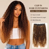 Curly Hair Extensions - 3PCS Clip In Hair Extensions Kinky Curly Clip Ins 3B 3C 4A Full Head Long So