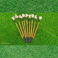 Flare Stick Betta Ikan Laga Cermin