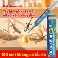 LZS whole house gecko killer lizard killer gel lizard killer safe for children and pets