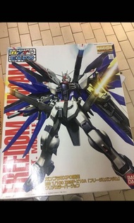全新 mg 自由高達 freedom Gundam Gundam seed 會場版