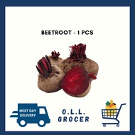 Beetroot / Ubi Bit Merah / 甜菜根 - 1 PCS