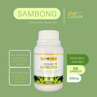 Sambong Capsule (100caps/500mg) Herbal Supplement