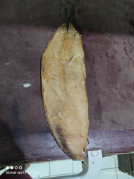 ikan asin jambal roti/jambal roti