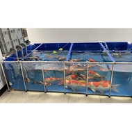 Lvju โปร่งใส Aquarium 200L 1000L Betta KOI Fish AquariumFROG TANK