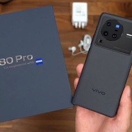 vivo x80 pro