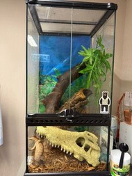 EXO TERRA爬蟲缸